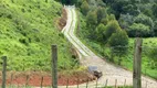 Foto 24 de Fazenda/Sítio à venda, 23400m² em Zona Rural, Delfim Moreira