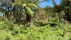 Foto 6 de Fazenda/Sítio à venda, 20000m² em , Urubici