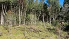 Foto 2 de Fazenda/Sítio à venda, 20000m² em São Salvador, Cascavel