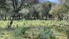 Foto 14 de Fazenda/Sítio à venda, 78000m² em Zona Rural, Urubici