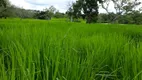 Foto 4 de Fazenda/Sítio à venda em Zona Rural, Arraias