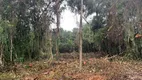 Foto 2 de Lote/Terreno à venda, 286m² em Luíza Mar Mirim, Itanhaém