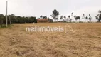 Foto 5 de Fazenda/Sítio à venda, 270000m² em Chácara Rincao, Cotia