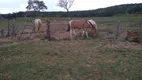 Foto 6 de Fazenda/Sítio à venda em Zona Rural, Arinos