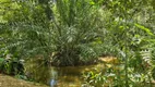 Foto 6 de Fazenda/Sítio à venda, 12000m² em Cruz do Reboucas, Igarassu