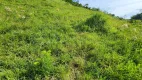 Foto 4 de Fazenda/Sítio à venda, 20000m² em Area Rural de Jaragua do Sul, Jaraguá do Sul