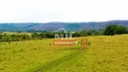 Foto 5 de Fazenda/Sítio à venda em Honoropolis, Campina Verde