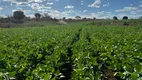 Foto 3 de Fazenda/Sítio com 3 Quartos à venda, 600000m² em Centro, Manga