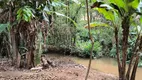 Foto 14 de Chácara com 2 Quartos à venda, 30000m² em Zona Rural, Marechal Floriano