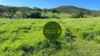 Foto 6 de Fazenda/Sítio à venda, 5808000m² em Zona Rural, Vila Propício