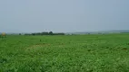 Foto 5 de Fazenda/Sítio com 7 Quartos à venda em , Hidrolândia