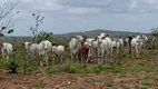 Foto 3 de Fazenda/Sítio à venda, 400000m² em , Macaíba