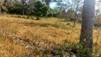 Foto 24 de Fazenda/Sítio com 2 Quartos à venda, 158m² em Zona Rural, Colinas do Sul