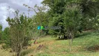 Foto 18 de Fazenda/Sítio com 3 Quartos à venda, 200m² em Zona Rural, Ubá