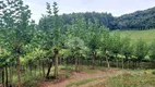 Foto 6 de Fazenda/Sítio com 1 Quarto à venda, 60000m² em Vale dos Vinhedos, Bento Gonçalves