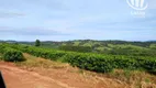 Foto 21 de Fazenda/Sítio à venda, 3000000m² em Centro, Divisa Nova