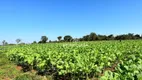 Foto 17 de Fazenda/Sítio com 6 Quartos à venda, 1200m² em RANCHO TRÊS LAGOAS, Igarapé