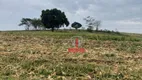 Foto 5 de Fazenda/Sítio à venda, 919600m² em Zona Rural , Bela Vista do Paraíso