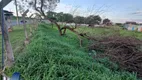 Foto 2 de Lote/Terreno para alugar, 3000m² em Vila Brasil, Ribeirão Preto