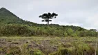 Foto 20 de Fazenda/Sítio à venda, 3400000m² em Centro, Bom Retiro