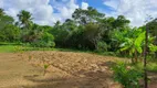 Foto 7 de Fazenda/Sítio com 2 Quartos à venda, 100000m² em Alphaville Abrantes, Camaçari