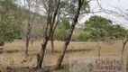 Foto 13 de Fazenda/Sítio com 3 Quartos à venda, 51m² em Zona Rural, Cocalzinho de Goiás