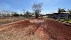 Foto 7 de Fazenda/Sítio com 1 Quarto à venda, 2000m² em Zona Rural, Uberlândia