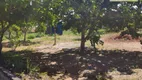 Foto 21 de Lote/Terreno à venda, 500m² em Zona Rural, Abadiânia