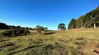 Foto 4 de Lote/Terreno à venda em Zona Rural, Urubici