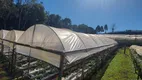 Foto 8 de Fazenda/Sítio com 3 Quartos à venda, 232m² em , Flores da Cunha