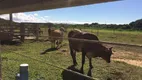 Foto 4 de Fazenda/Sítio com 4 Quartos à venda, 20000m² em Comunidade Urbana de Jaboticaba, Guarapari