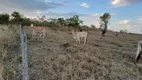 Foto 55 de Fazenda/Sítio com 4 Quartos à venda, 1365000m² em Zona Rural, Alexânia