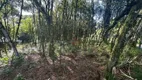 Foto 5 de Lote/Terreno à venda, 1200m² em Parque das Hortênsias, Canela