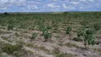 Foto 17 de Fazenda/Sítio com 3 Quartos à venda, 85000m² em Centro, Ielmo Marinho