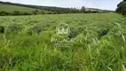 Foto 3 de Fazenda/Sítio com 1 Quarto à venda, 10m² em Zona Rural, Torrinha