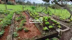 Foto 17 de Fazenda/Sítio com 3 Quartos à venda, 1000m² em , Igarapé