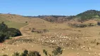 Foto 9 de Fazenda/Sítio à venda, 817m² em Centro, São José do Rio Pardo