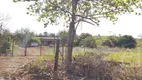 Foto 7 de Fazenda/Sítio com 2 Quartos à venda, 60m² em Zona Rural, Ibiporã