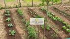 Foto 13 de Fazenda/Sítio com 3 Quartos à venda, 245m² em , Paraisópolis