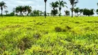 Foto 26 de Fazenda/Sítio com 3 Quartos à venda, 70m² em Zona Rural, Araguaína