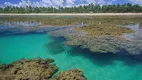 Foto 10 de Lote/Terreno à venda, 40000m² em Barra Grande, Maraú