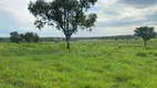 Foto 13 de Fazenda/Sítio à venda, 1510000m² em Zona Rural, Aparecida do Taboado