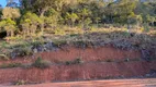 Foto 29 de Fazenda/Sítio à venda, 30000m² em Centro, Marechal Floriano