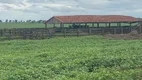 Foto 3 de Fazenda/Sítio com 1 Quarto à venda, 83000000m² em Centro, Chapadão do Sul