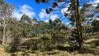 Foto 7 de Fazenda/Sítio com 3 Quartos à venda, 60000m² em Centro, Gonçalves