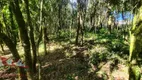 Foto 16 de Fazenda/Sítio com 1 Quarto à venda, 6000m² em Colônia Malhada, São José dos Pinhais