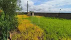 Foto 45 de Fazenda/Sítio com 3 Quartos para alugar, 6000m² em Area Rural de Uberlandia, Uberlândia