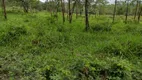 Foto 9 de Fazenda/Sítio à venda, 20000m² em Zona Rural, Fortuna de Minas