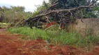 Foto 11 de Lote/Terreno para alugar, 3000m² em Ribeirânia, Ribeirão Preto