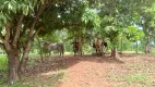 Foto 17 de Fazenda/Sítio à venda, 60000m² em Ponte Alta Norte, Brasília